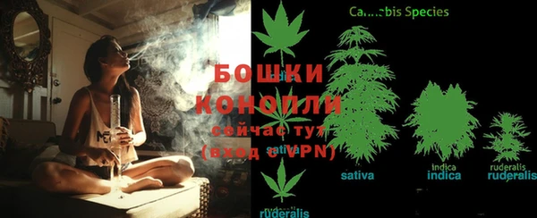бошки Нефтегорск