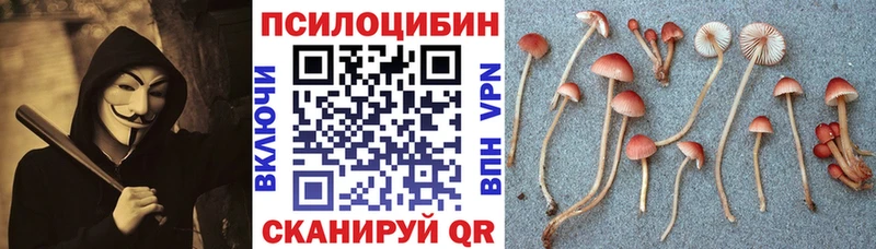 Псилоцибиновые грибы GOLDEN TEACHER  Купить где  Кировск 