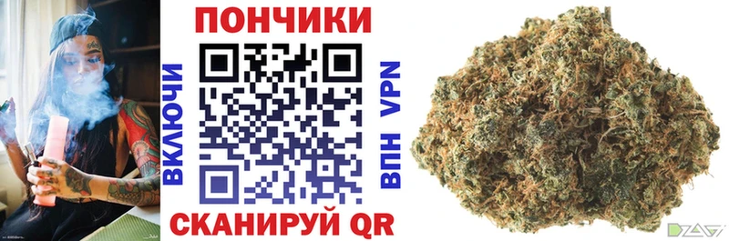 Купить закладки Кировск МАРИХУАНА SATIVA & INDICA